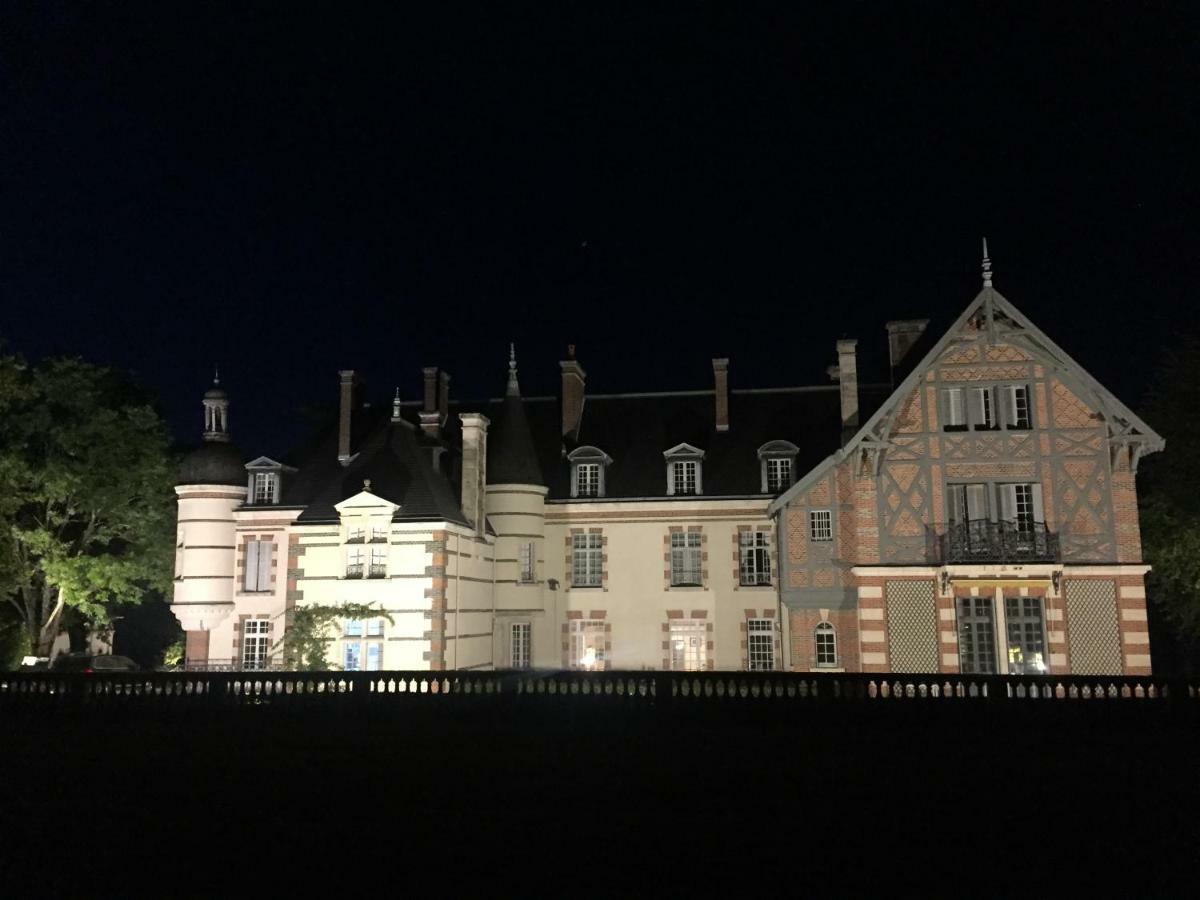 Chateau De La Faye Menetreol-sur-Sauldre المظهر الخارجي الصورة