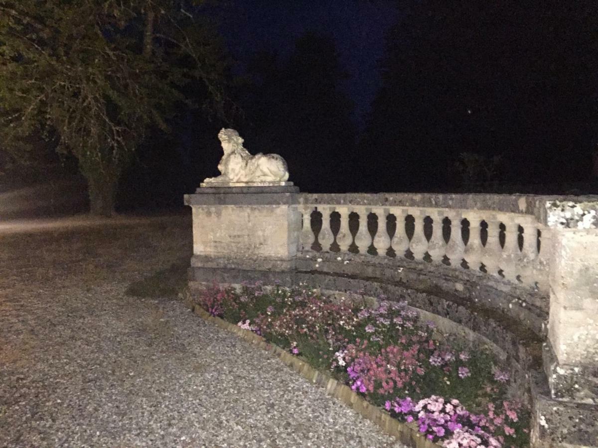 Chateau De La Faye Menetreol-sur-Sauldre المظهر الخارجي الصورة
